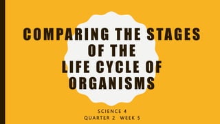 COMPARING THE STAGES
OF THE
LIFE CYCLE OF
ORGANISMS
S C I E N C E 4
Q U A R T E R 2 W E E K 5
 