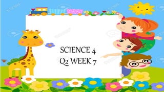 SCIENCE 4
Q2 WEEK 7
 