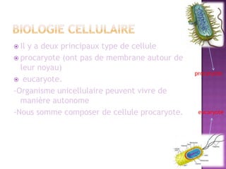 Biologie cellulaireIl y a deux principaux type de celluleprocaryote (ont pas de membrane autour de leur noyau)  eucaryote.-Organisme unicellulaire peuvent vivre de manière autonome-Nous somme composer de cellule procaryote.procaryoteeucaryote