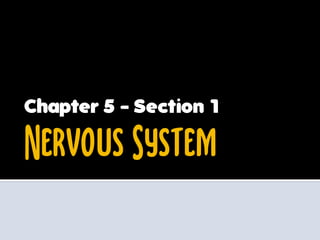 Chapter 5 - Section 1

Nervous System
 
