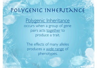 polygenic inheritance
    Polygenic Inheritance
   occurs when a group of gene
      pairs acts together to
          produce a trait.

    The effects of many alleles
    produces a wide range of
           phenotypes.
 