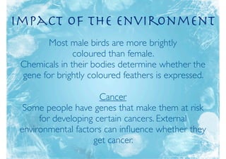 Impact of the Environment
        Most male birds are more brightly
               coloured than female.
 Chemicals in their bodies determine whether the
 gene for brightly coloured feathers is expressed.

                      Cancer
  Some people have genes that make them at risk
      for developing certain cancers. External
 environmental factors can inﬂuence whether they
                    get cancer.
 