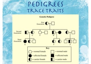 Pedigrees
Trace Traits
 
