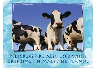 Pedigrees are also used when
breeding animals and plants.
 