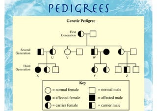 Pedigrees
 