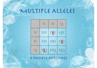 Multiple Alleles
        N    D   Q

    N        X
        NN DN QN

    D   ND DD QD X
    Q   X
        NQ DQ QQ

  6 possible outcomes
 