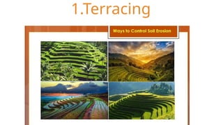 1.Terracing
 