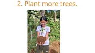 2. Plant more trees.
 