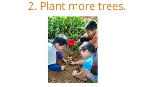 2. Plant more trees.
 