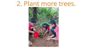 2. Plant more trees.
 