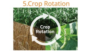 5.Crop Rotation
 