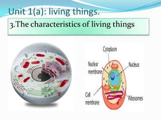 Unit 1(a): living things.
3.The characteristics of living things

 