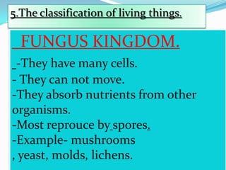 5.The classification of living things.

FUNGUS KINGDOM.
-They have many cells.
- They can not move.
-They absorb nutrients from other
organisms.
-Most reprouce by spores.
-Example- mushrooms
, yeast, molds, lichens.

 