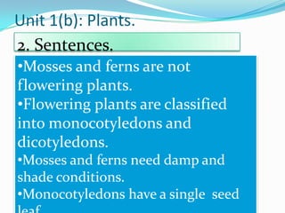 Unit 1(b): Plants.
2. Sentences.
•Mosses and ferns are not
flowering plants.
•Flowering plants are classified
into monocotyledons and
dicotyledons.
•Mosses and ferns need damp and
shade conditions.
•Monocotyledons have a single seed

 