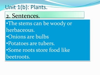 Unit 1(b): Plants.
2. Sentences.
•The stems can be woody or
herbaceous.
•Onions are bulbs
•Potatoes are tubers.
•Some roots store food like
beetroots.

 