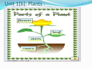 Unit 1(b): Plants .

 