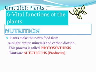Unit 1(b): Plants .
6-Vital functions of the
plants.
 Plants make their own food from

sunlight, water, minerals and carbon dioxide.
This process is called PHOTOSYNTHESIS
Plants are AUTOTROPHS.(Producers)

 