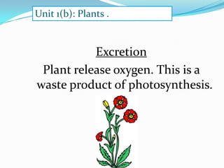 Unit 1(b): Plants .

Excretion
Plant release oxygen. This is a
waste product of photosynthesis.

 