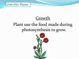 Unit 1(b): Plants .

Growth
Plant use the food made during
photosynthesis to grow.

 