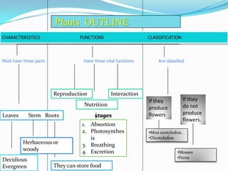 Plants OUTLINE
CHARACTERISTICS

FUNCTIONS

Most have three parts

CLASSIFICATION

Have three vital functions

Reproduction

Interaction

Nutrition
Leaves

Stem Roots

Herbaceous or
woody
Decidious
Evergreen

Are classified

stages
1. Absortion
2. Photosynthes
is
3. Breathing
4. Excretion

They can store food

If they
do not
produce
flowers.

If they
produce
flowers
•Mon ocotyledon.
•Dicotyledon

•Mosses
•Ferns

 