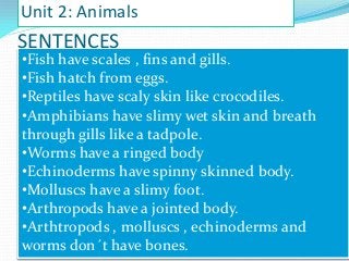 Unit 2: Animals

SENTENCES

•Fish have scales , fins and gills.
•Fish hatch from eggs.
•Reptiles have scaly skin like crocodiles.
•Amphibians have slimy wet skin and breath
through gills like a tadpole.
•Worms have a ringed body
•Echinoderms have spinny skinned body.
•Molluscs have a slimy foot.
•Arthropods have a jointed body.
•Arthtropods , molluscs , echinoderms and
worms don´t have bones.

 