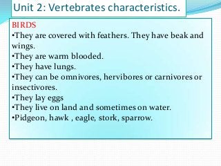 Unit 2: Vertebrates characteristics.
BIRDS
•They are covered with feathers. They have beak and
wings.
•They are warm blooded.
•They have lungs.
•They can be omnivores, hervibores or carnivores or
insectivores.
•They lay eggs
•They live on land and sometimes on water.
•Pidgeon, hawk , eagle, stork, sparrow.

 