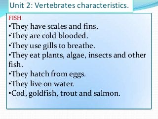 Unit 2: Vertebrates characteristics.
FISH

•They have scales and fins.
•They are cold blooded.
•They use gills to breathe.
•They eat plants, algae, insects and other
fish.
•They hatch from eggs.
•They live on water.
•Cod, goldfish, trout and salmon.

 