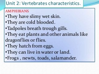 Unit 2: Vertebrates characteristics.
AMPHIBIANS

•They have slimy wet skin.
•They are cold blooded.
•Tadpoles breath trough gills.
•They eat plants and other animals like
dragonflies or flies.
•They hatch from eggs.
•They can live in water or land.
•Frogs , newts, toads, salamander.

 