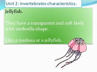 Unit 2: Invertebrates characteristics.

Jellyfish.
They have a transparent and soft body
with umbrella shape.
Like a medusa or a jellyfish.

 