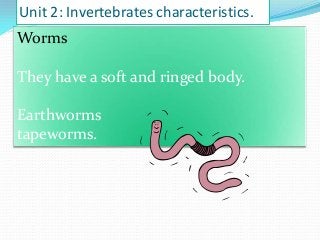 Unit 2: Invertebrates characteristics.

Worms
They have a soft and ringed body.
Earthworms
tapeworms.

 