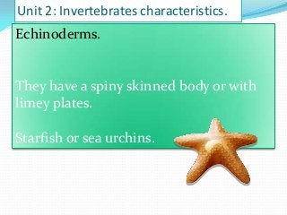 Unit 2: Invertebrates characteristics.

Echinoderms.

They have a spiny skinned body or with
limey plates.
Starfish or sea urchins.

 