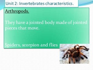 Unit 2: Invertebrates characteristics.

Arthropods.
They have a jointed body made of jointed
pieces that move.

Spiders, scorpion and flies

 
