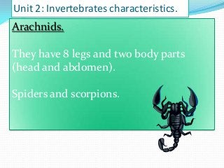 Unit 2: Invertebrates characteristics.

Arachnids.
They have 8 legs and two body parts
(head and abdomen).
Spiders and scorpions.

 