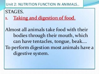 Unit 2: NUTRITION FUNCTION IN ANIMALS..

STAGES.
1. Taking and digestion of food.
Almost all animals take food with their
bodies through their mouth, which
can have tentacles, tongue, beak….
To perform digestion most animals have a
digestive system.

 