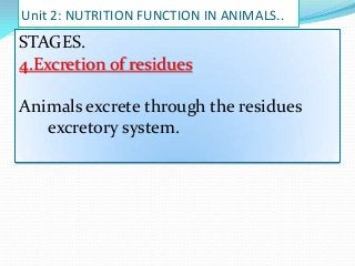Unit 2: NUTRITION FUNCTION IN ANIMALS..

STAGES.
4.Excretion of residues
Animals excrete through the residues
excretory system.

 