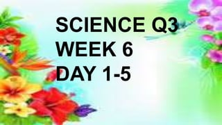 SCIENCE Q3
WEEK 6
DAY 1-5
 