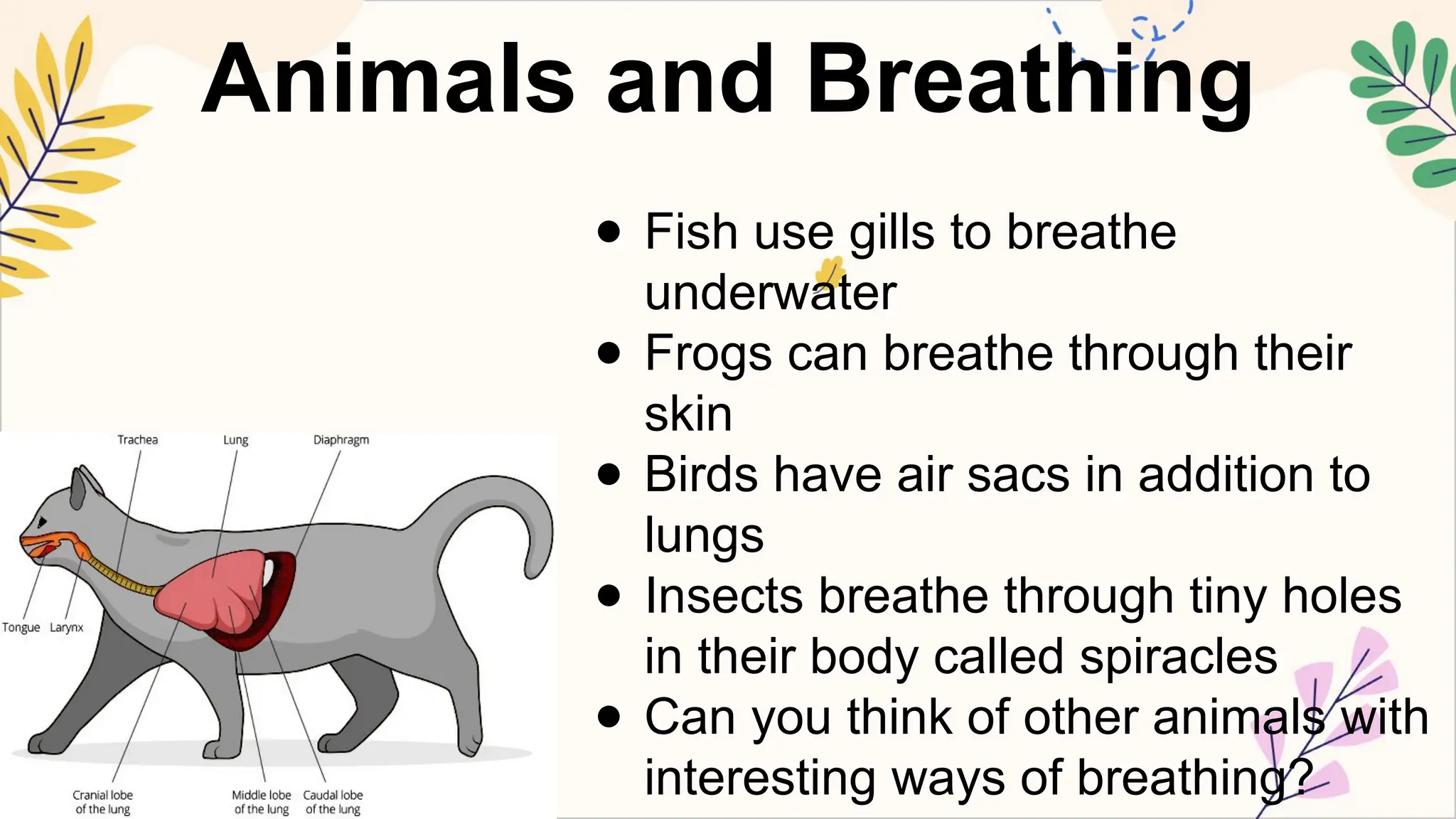 SCIENCE5 Q2 2. identify from pictures and diagrams the parts of the ...