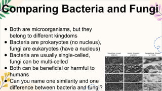 SCIENCE5 Q2 4C microorganisms including fungi and bacteria_.pptx