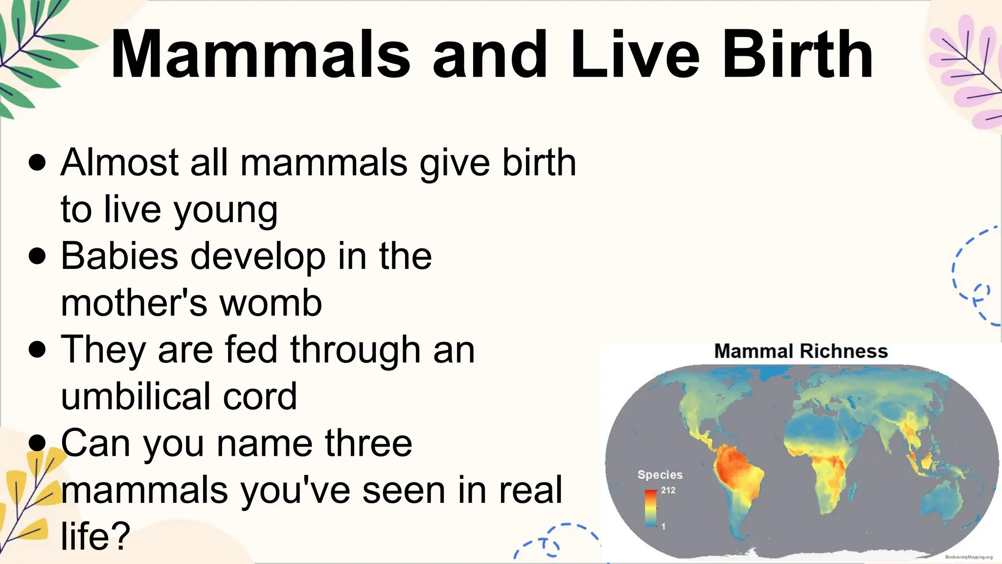SCIENCE5 Q2 5 identify which groups of animals reproduce by giving