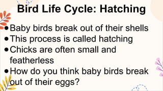 SCIENCE5 Q2 6 compare the life cycles of mammals from birth to ...