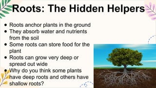 Achor Roots SCIENCE5 Q2 7 describe the purpose of specialized structures in plants ...
