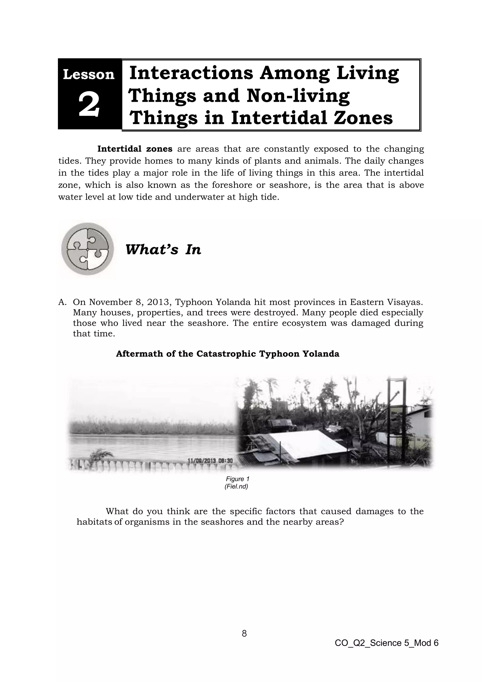 Science5_q2_mod6_EstuariesAndIntertidalZones_v2.PDF