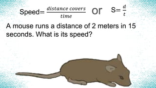 Speed=
𝑑𝑖𝑠𝑡𝑎𝑛𝑐𝑒 𝑐𝑜𝑣𝑒𝑟𝑠
𝑡𝑖𝑚𝑒
or S=
𝑑
𝑡
A mouse runs a distance of 2 meters in 15
seconds. What is its speed?
 
