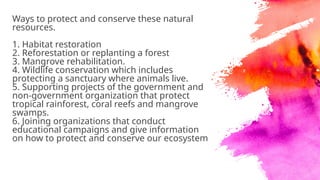 Ways to protect and conserve these natural
resources.
1. Habitat restoration
2. Reforestation or replanting a forest
3. Mangrove rehabilitation.
4. Wildlife conservation which includes
protecting a sanctuary where animals live.
5. Supporting projects of the government and
non-government organization that protect
tropical rainforest, coral reefs and mangrove
swamps.
6. Joining organizations that conduct
educational campaigns and give information
on how to protect and conserve our ecosystem
 
