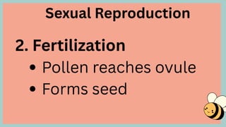 Kinner Reproduction SCIENCE 6 (2ND)- MODES OF REPRODUCTION IN PLANTS.pdf