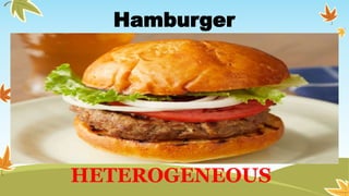 Hamburger
HETEROGENEOUS
 