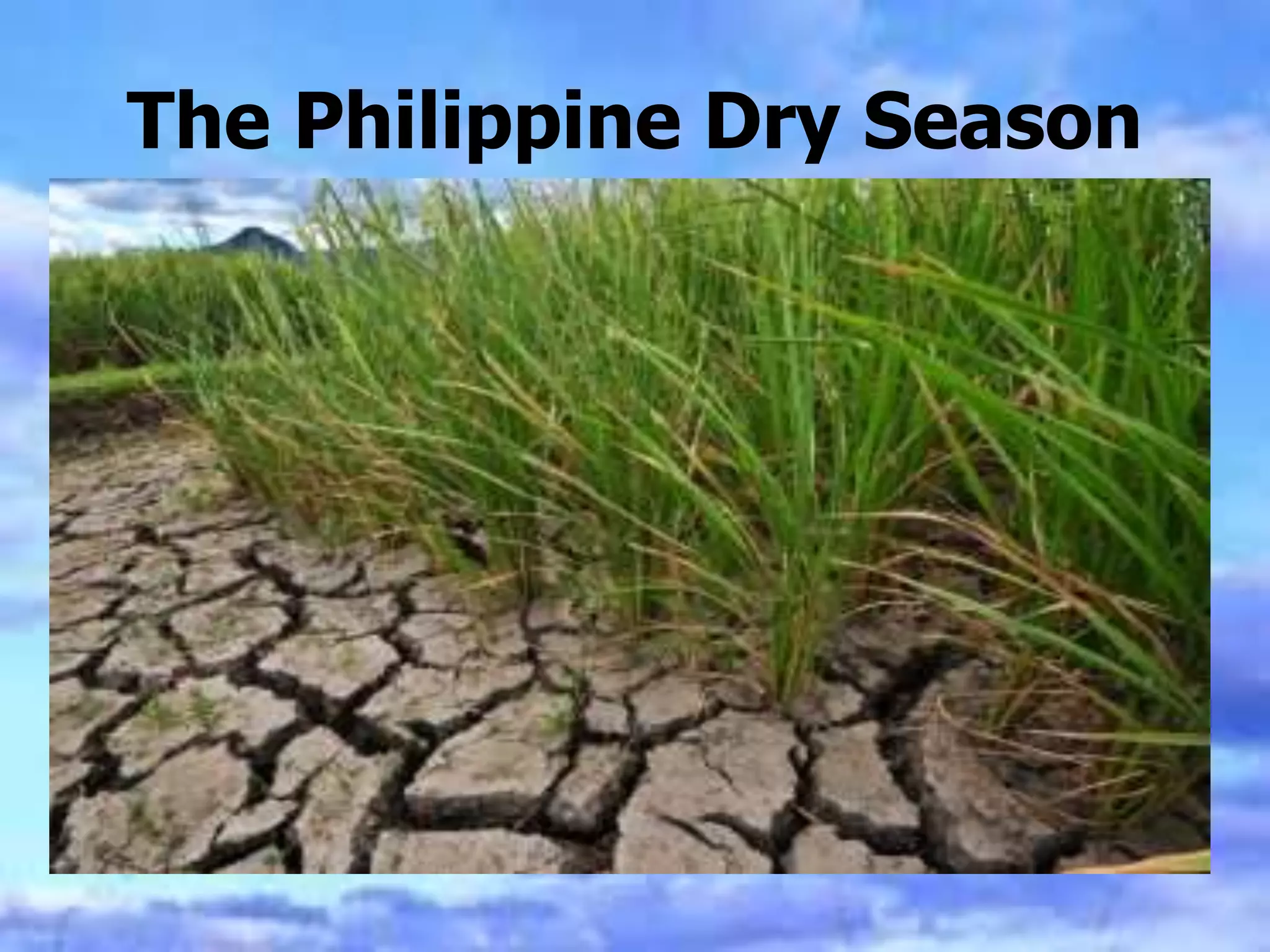 SCIENCE 6 PPT Q4 W3 - Weather Patterns In The Philippines (1).pptx