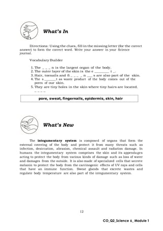 12
CO_Q2_Science 6_ Module 1
What’s In
Directions: Using the clues, fill in the missing letter (for the correct
answer) to form the correct word. Write your answer in your Science
journal.
Vocabulary Builder
1. The _ _ _ n is the largest organ of the body.
2. The outer layer of the skin is the e ________ i _.
3. Hair, toenails and fi _ _ _ _ n ___ s are also part of the skin.
4. The s _______t as waste product of the body comes out of the
pores of our skin.
5. They are tiny holes in the skin where tiny hairs are located.
_ _ _ _
What’s New
The integumentary system is composed of organs that form the
external covering of the body and protect it from many threats such as
infection, desiccation, abrasion, chemical assault and radiation damage. In
humans the integumentary system comprises the skin and its appenda ges
acting to protect the body from various kinds of damage such as loss of water
and damages from the outside. It is also made of specialized cells that secrete
melanin to protect the body from the carcinogenic effects of UV rays and cells
that have an immune function. Sweat glands that excrete wastes and
regulate body temperature are also part of the integumentary system.
pore, sweat, fingernails, epidermis, skin, hair
 