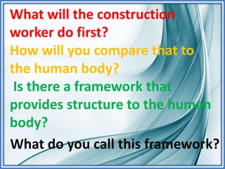 What will the construction
worker do first?
How will you compare that to
the human body?
Is there a framework that
provides structure to the human
body?
What do you call this framework?
 