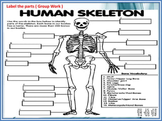 Label the parts ( Group Work )
 